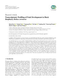 Research Article Transcriptomic Profiling of Fruit Development in Black Raspberry Rubus Coreanus
