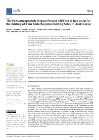 The Pentatricopeptide Repeat Protein MEF100 Is Required for the Editing of Four Mitochondrial Editing Sites in Arabidopsis