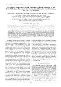Phylogenetic Analysis of Nuclear Ribosomal ITS/5.8S Sequences In