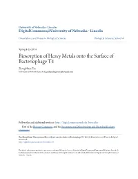 Biosorption of Heavy Metals Onto the Surface of Bacteriophage T4 Zheng Huan Tan University of Nebraska-Lincoln, Legendarydragoons@Hotmail.Com