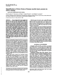 Identification of Three Forms of Human Myelin Basic Protein by Cdna Cloning