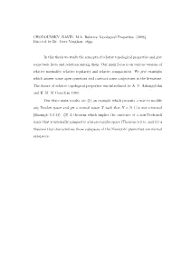 Relative Topological Properties