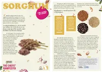Sorghum Is a Small Grain with a Big Impact. As Our Population Is Set To