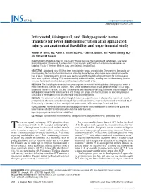 Intercostal, Ilioinguinal, and Iliohypogastric Nerve Transfers for Lower Limb Reinnervation After Spinal Cord Injury: an Anatomical Feasibility and Experimental Study