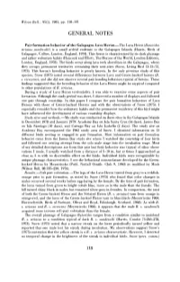 Pair Formation Behavior of the Galapagos Lava Heron