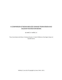 A Comparison of Beam-Induced Damage from Xenon and Gallium Focused Ion Beams
