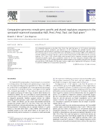 Comparative Genomics Reveals Gene-Specific and Shared Regulatory Sequences in the Spermatid-Expressed Mammalian Odf1, Prm1, Prm2
