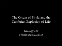 Fossil Invertebrates of the Phanerozoic