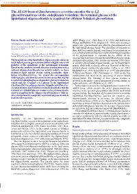 The ALG10 Locus of Saccharomyces Cerevisiae Encodes the Α–1
