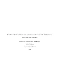 The Influence of Soil Conditions in Spatial Distribution of Barbarea Vulgaris R