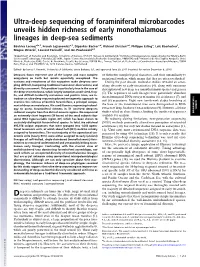 Ultra-Deep Sequencing of Foraminiferal Microbarcodes Unveils Hidden Richness of Early Monothalamous Lineages in Deep-Sea Sediments