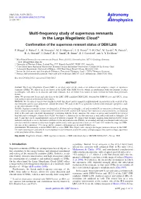 Multi-Frequency Study of Supernova Remnants in the Large Magellanic Cloud Conﬁrmation of the Supernova Remnant Status of DEM L205