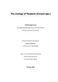 The Ecology of Fleabane (Conyza Spp.)