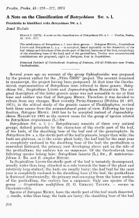 A Note on the Classification of Botrychium SW. S. L