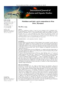 Flatfishes and Their Catch Composition in Mon State, Myanmar