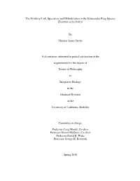 Speciation and Hybridization in the Salamander Ring Species Ensatina Eschscholtzii by Thomas James Devitt