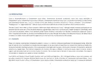 Difference Between Cassia/ Cinnamon