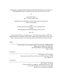 Hmelo Thesis.Pdf (3.770Mb)