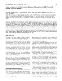 Structural Evolution and Differential Effects on Lipid Bilayers