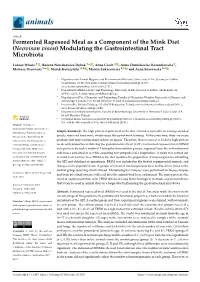 Fermented Rapeseed Meal As a Component of the Mink Diet (Neovison Vison) Modulating the Gastrointestinal Tract Microbiota