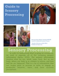Guide to Sensory Processing.Pdf