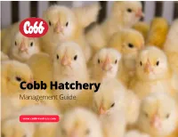 Hatchery-Guide-Layout-R2.Pdf