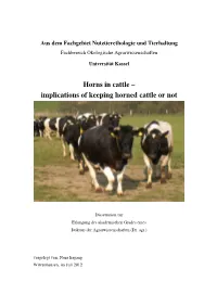 Horns in Cattle – Implications of Keeping Horned Cattle Or Not