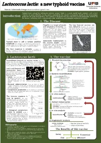 Lactococcus Lactis: a New Typhoid Vaccine
