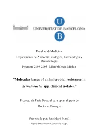 “Molecular Bases of Antimicrobial Resistance in Acinetobacter Spp. Clinical Isolates.”