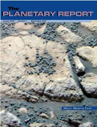Planetary Report Report