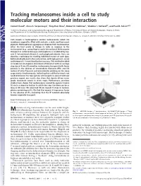 Tracking Melanosomes Inside a Cell to Study Molecular Motors and Their Interaction