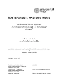 Masterarbeit / Master's Thesis