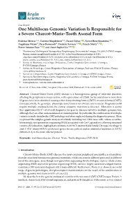 One Multilocus Genomic Variation Is Responsible for a Severe Charcot–Marie–Tooth Axonal Form