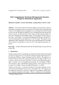 Soft Computing for Terahertz Metamaterial Absorber Design for Biomedical Application