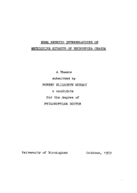 Some Genetic Interrelations of Methionine Mutants of Neurospora