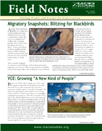 Spring 2014 from Rusty Blackbirds to Big