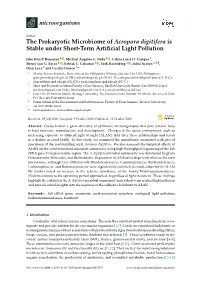 The Prokaryotic Microbiome of Acropora Digitifera Is Stable Under Short-Term Artiﬁcial Light Pollution