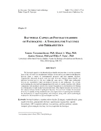 Bacterial Capsular Polysaccharides of Pathogens – a Toolbox for Vaccines and Therapeutics