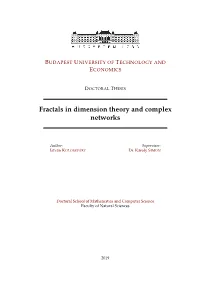 Fractals in Dimension Theory and Complex Networks