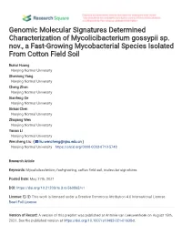 Genomic Molecular Signatures Determined Characterization of Mycolicibacterium Gossypii Sp