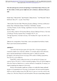 Poaceae), and the Interrelation of Whole-Genome Duplication and Evolutionary Radiations in This Grass Tribe