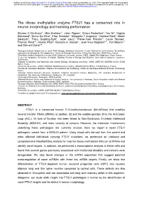 The Ribose Methylation Enzyme FTSJ1 Has a Conserved Role in Neuron Morphology and Learning Performance