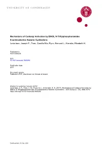 Mechanisms of Carbonyl Activation by BINOL N-Triflylphosphoramides