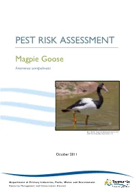 Pest Risk Assessment