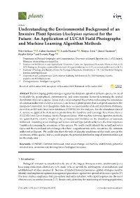 Understanding the Environmental Background of an Invasive Plant