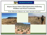Mojave Desert Native Plant Program Mojave Desert Restoration Challenges: It’S Hot and Dry!