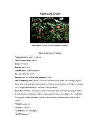 Plant Data Sheet