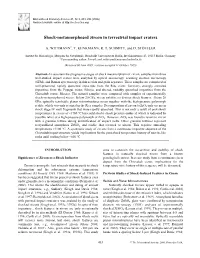 Shock-Metamorphosed Zircon in Terrestrial Impact Craters