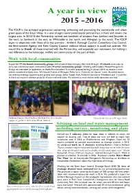 A Year in View 2015 -2016