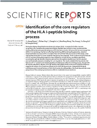 Identification of the Core Regulators of the HLA I-Peptide Binding Process